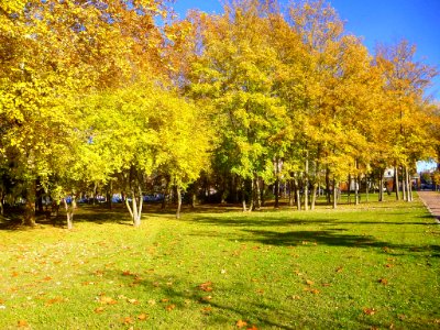 Vitoria - Parque María de Maeztu 6