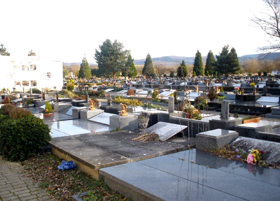 Vitoria - Cementerio de El Salvador 01