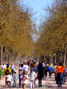 Vitoria - Paseo de Cervantes 1