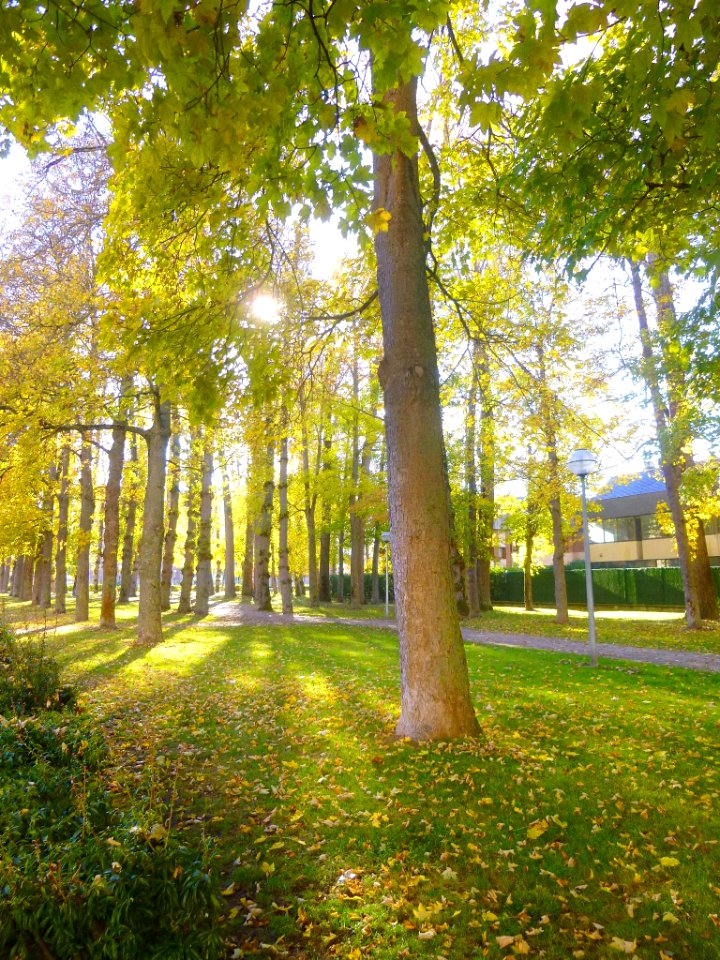 Vitoria - Parque María de Maeztu 8