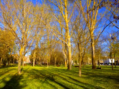 Vitoria - Parque María de Maeztu 9