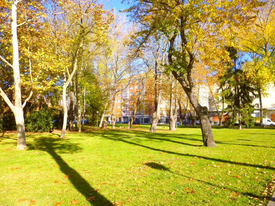 Vitoria - Parque María de Maeztu 7