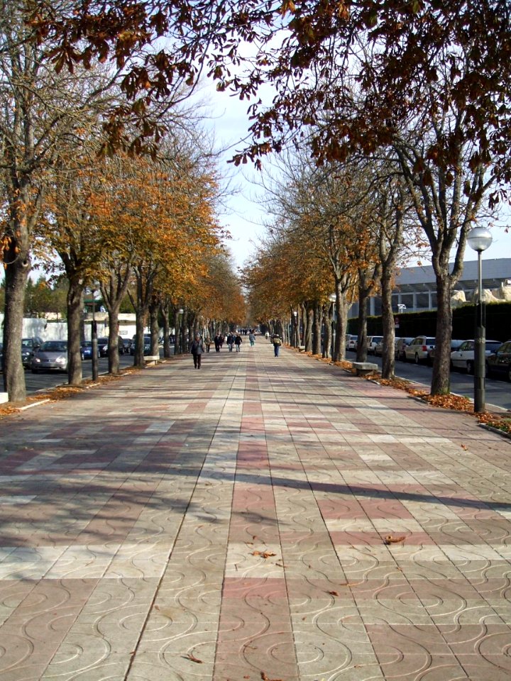 Vitoria - Paseo de Cervantes