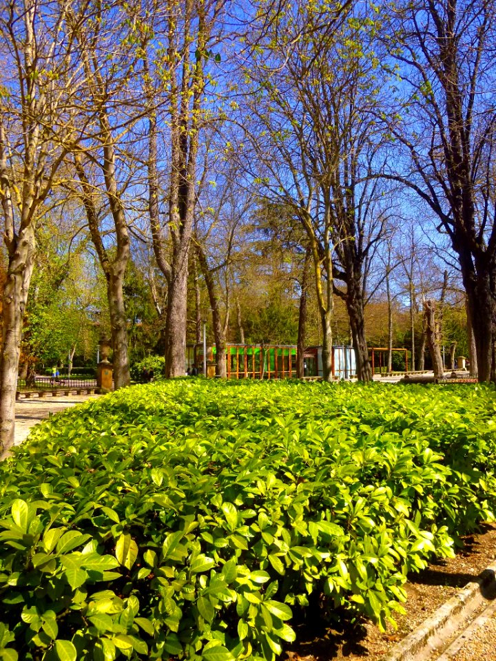Vitoria - Parque de la Florida 59