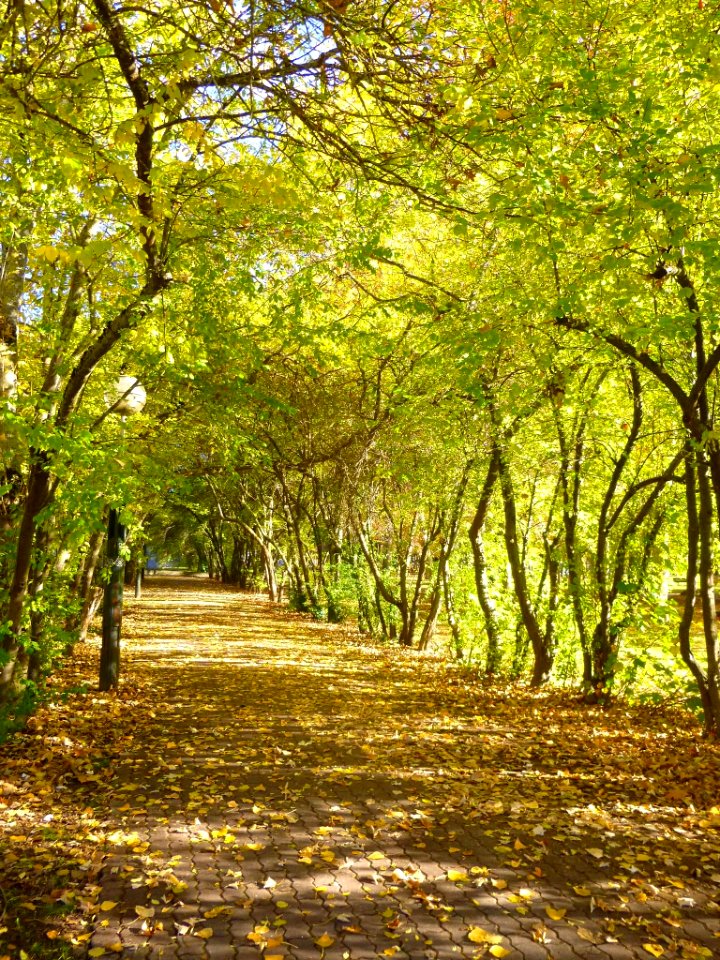 Vitoria - Parque María de Maeztu 2