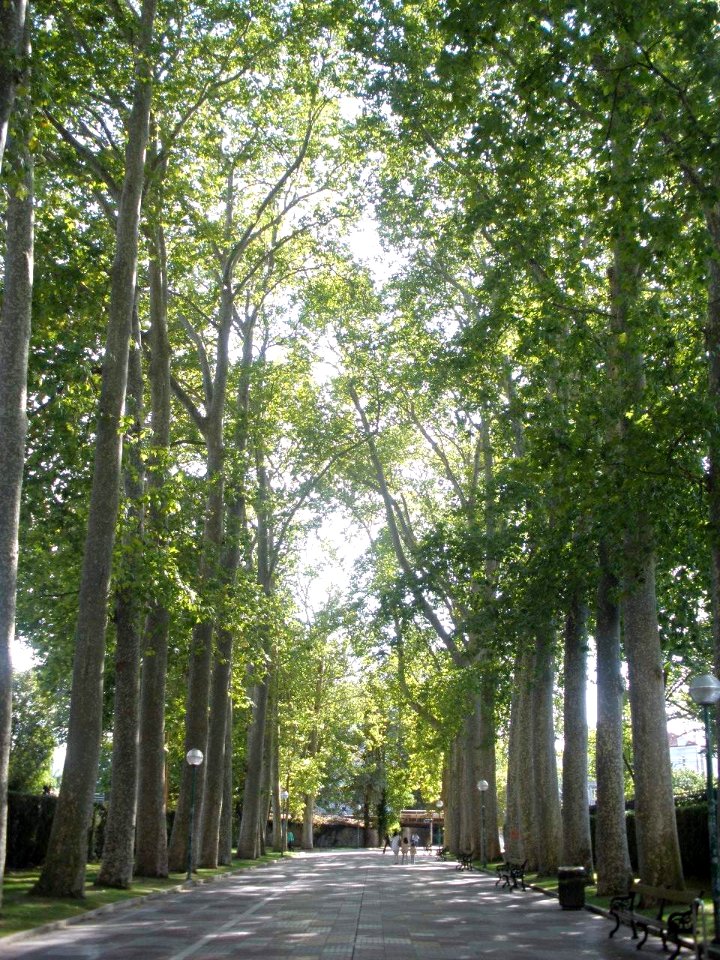 Vitoria - Paseo de la Senda