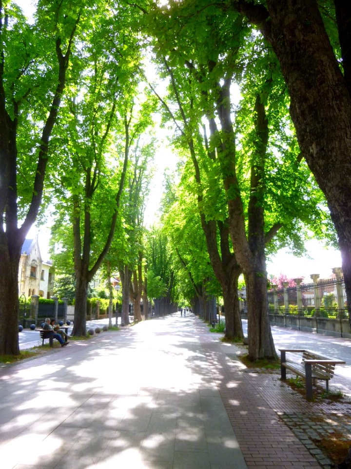 Vitoria - Paseo de Fray Francisco 11