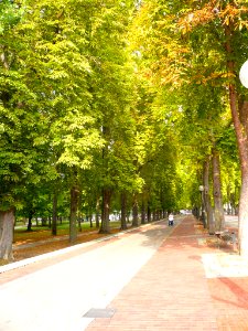 Vitoria - Paseo de Fray Francisco 14