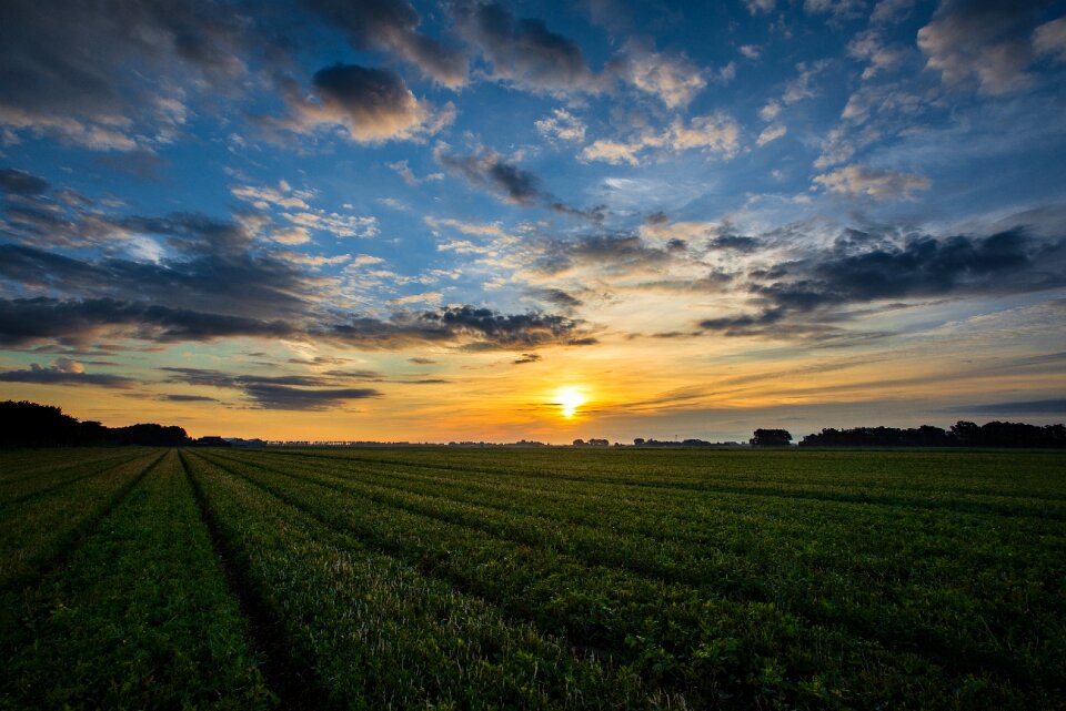 Nature landscape morning hour