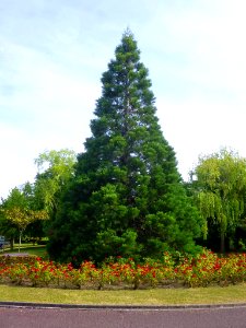 Vitoria - Parque de San Martín 15