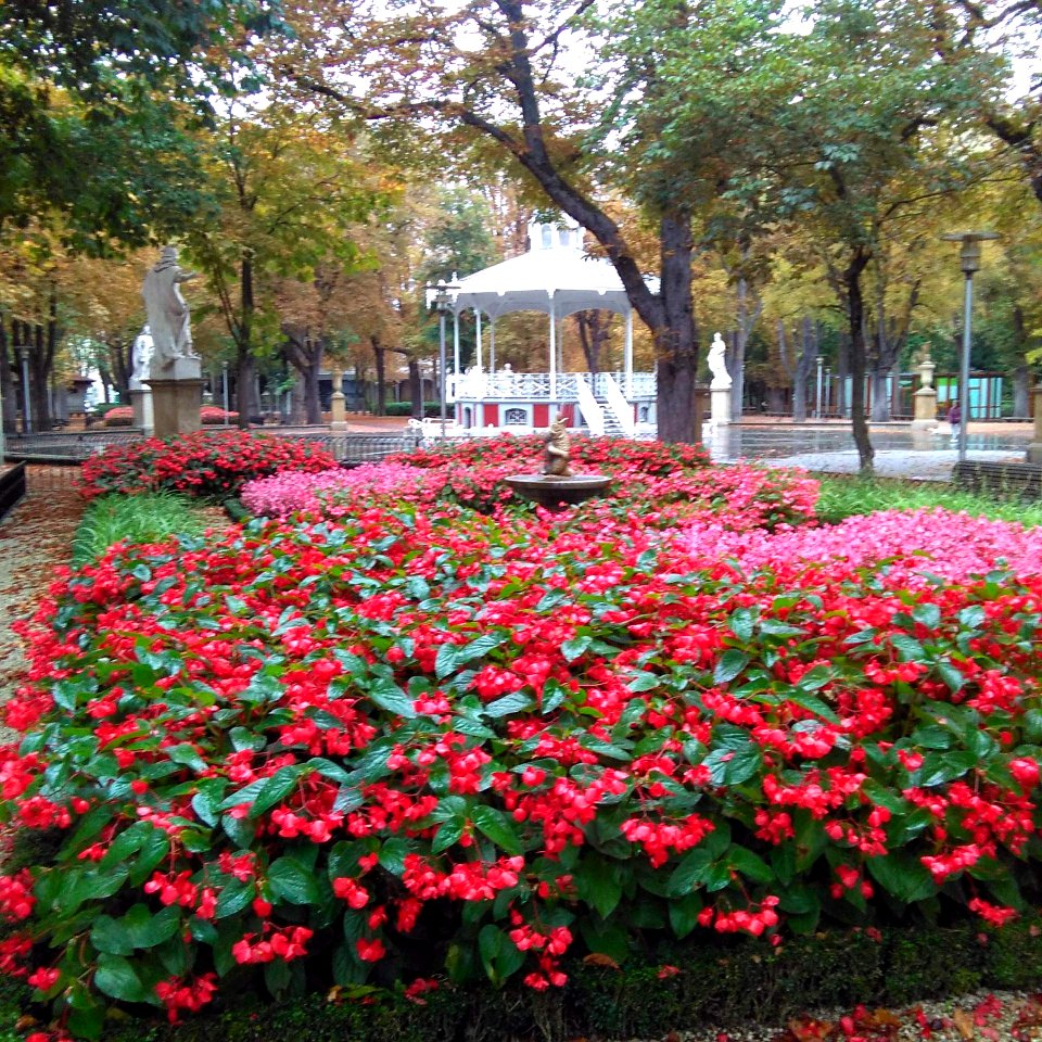 Vitoria - Parque de la Florida 51