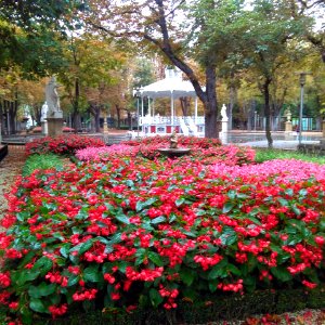 Vitoria - Parque de la Florida 51