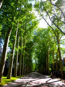 Vitoria - Paseo de la Senda 4