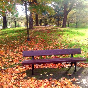 Vitoria - Parque de San Martín 07