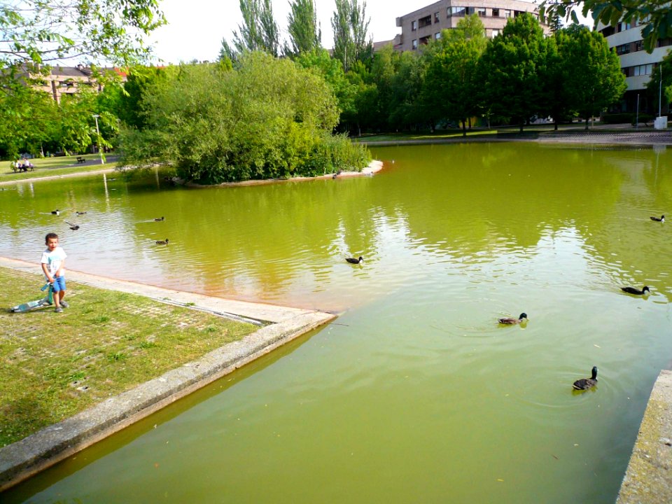 Vitoria - Parque de San Martín 09