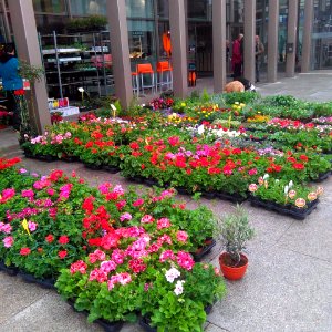 Vitoria - Plaza de Abastos 21