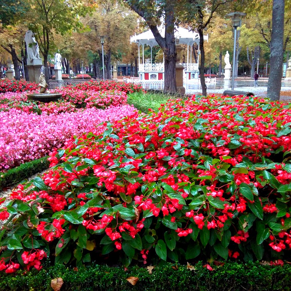 Vitoria - Parque de la Florida 52
