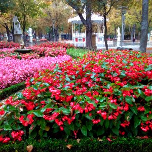 Vitoria - Parque de la Florida 52