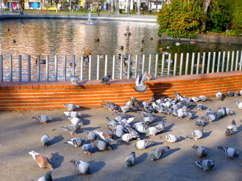 Vitoria - Parque de Molinuevo o del Norte 2