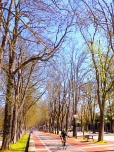 Vitoria - Paseo de Fray Francisco de Vitoria 4