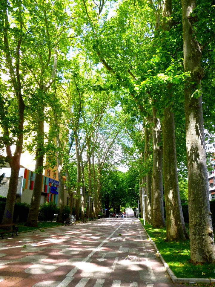 Vitoria - Paseo de la Senda 1