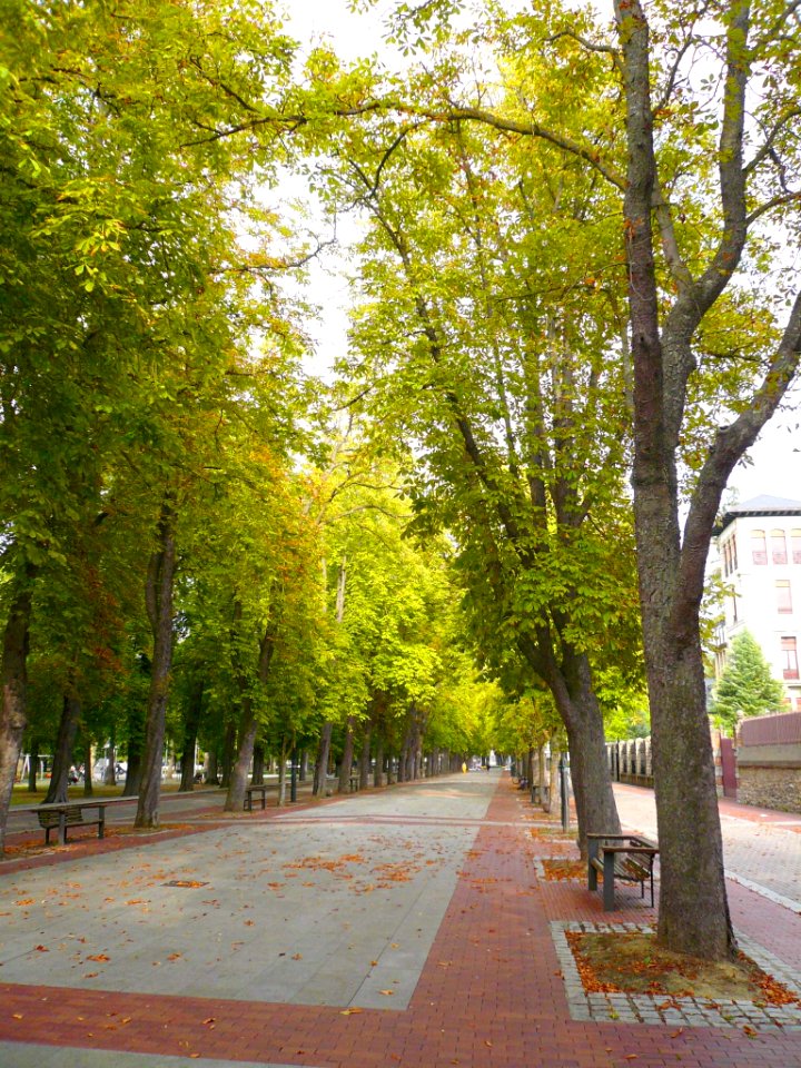 Vitoria - Paseo de Fray Francisco 15