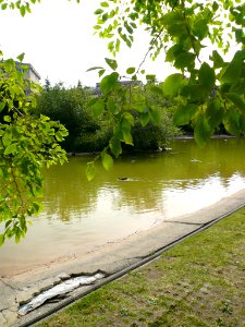 Vitoria - Parque de San Martín 12