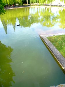 Vitoria - Parque de San Martín 10