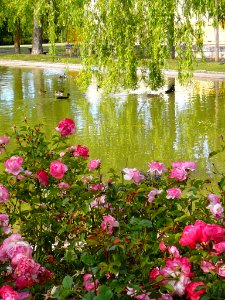 Vitoria - Parque de San Martín 11