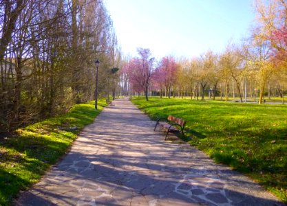Vitoria - Paseo del Batán 5