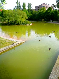 Vitoria - Parque de San Martín 08