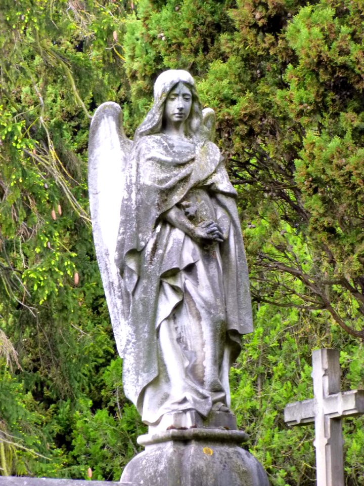 Vitoria - Cementerio de Santa Isabel 088