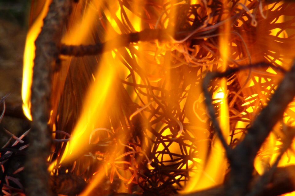 Bonfire tourism coals