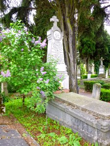 Vitoria - Cementerio de Santa Isabel 021