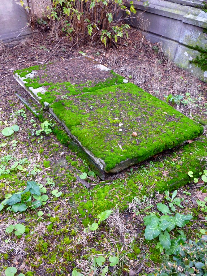 Vitoria - Cementerio de Santa Isabel 170