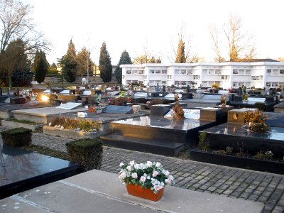 Vitoria - Cementerio de El Salvador 05
