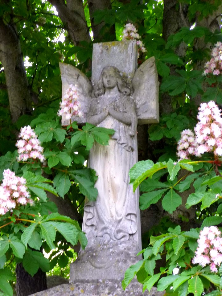 Vitoria - Cementerio de Santa Isabel 070