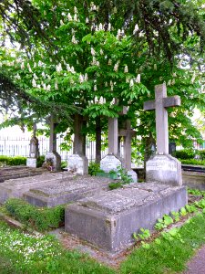 Vitoria - Cementerio de Santa Isabel 010
