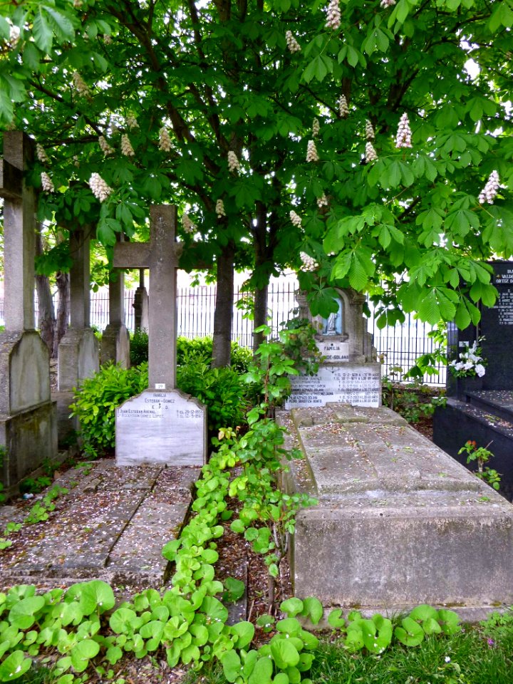 Vitoria - Cementerio de Santa Isabel 011