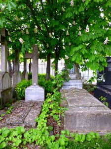 Vitoria - Cementerio de Santa Isabel 011