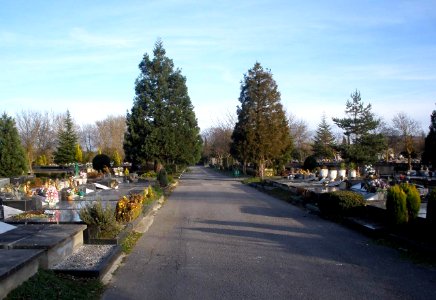 Vitoria - Cementerio de El Salvador 02