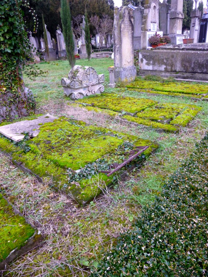 Vitoria - Cementerio de Santa Isabel 164