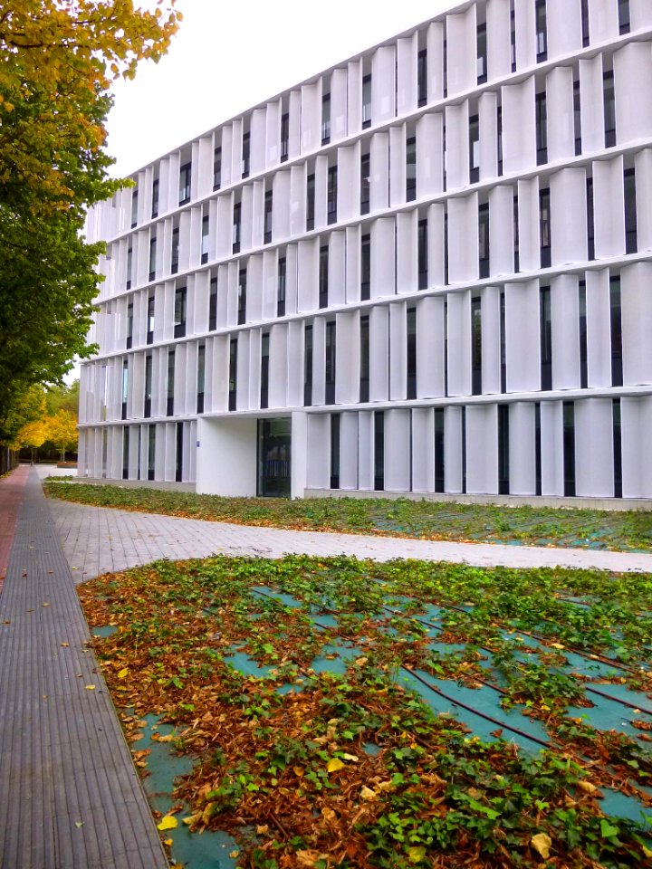 Vitoria - Oficinas Municipales de San Martín 10