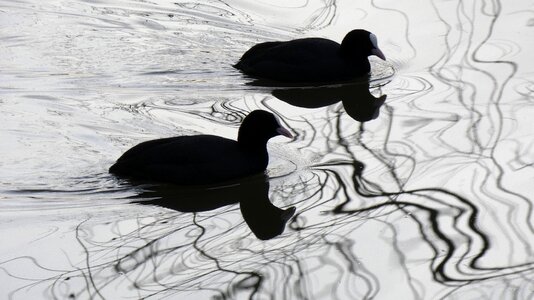 Body of water illustration nature