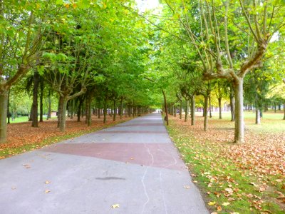 Vitoria - Parque de Gamarra 02