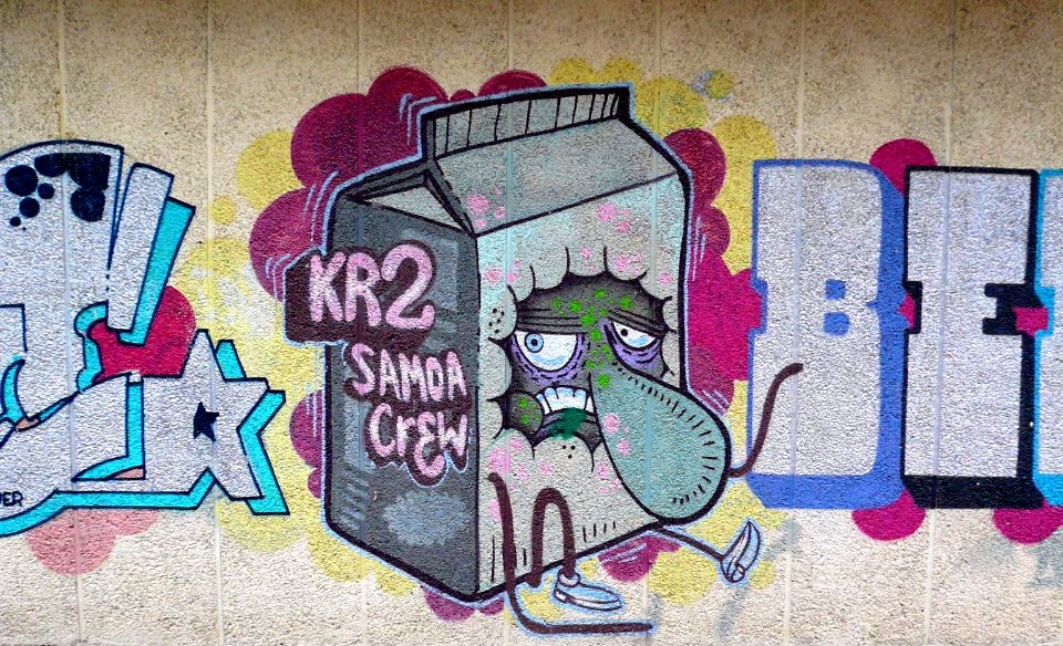 Vitoria - Graffiti en el barrio de San Martín 4