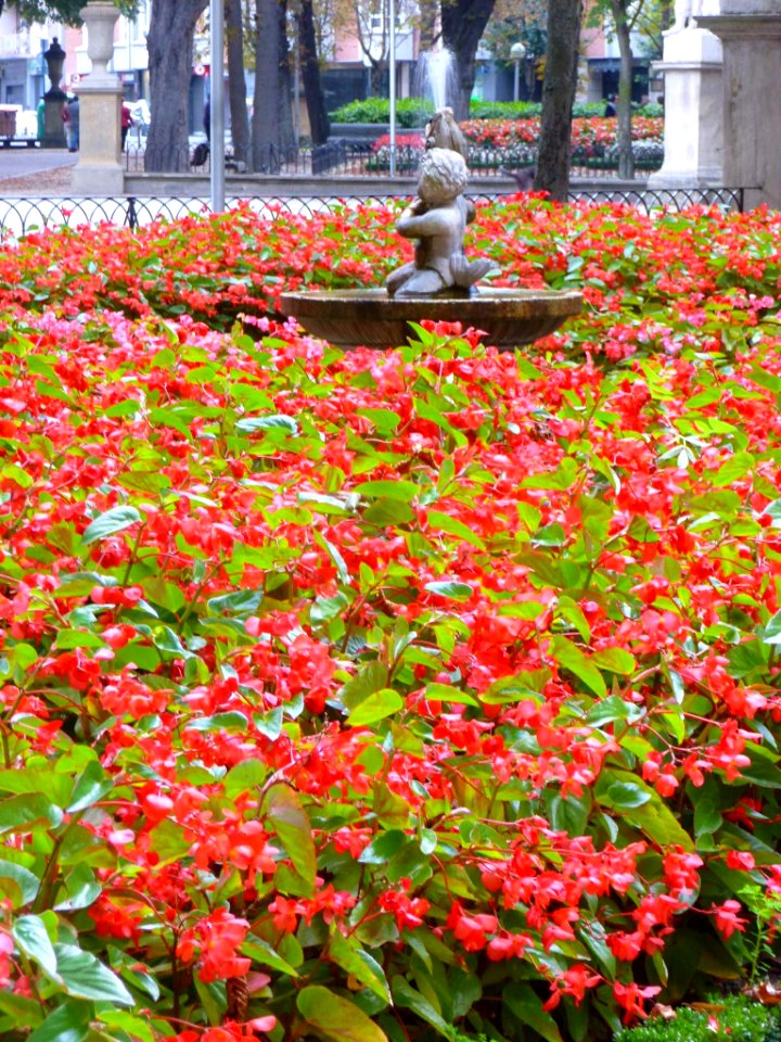Vitoria - Parque de la Florida 41