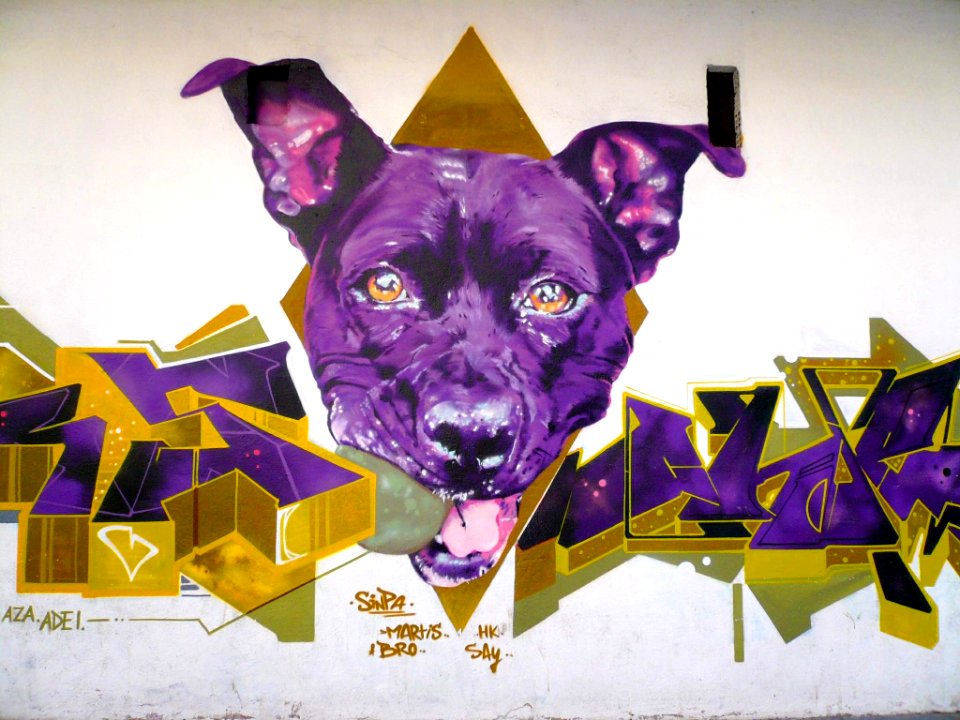 Vitoria - Graffiti en el barrio de Adurza 07