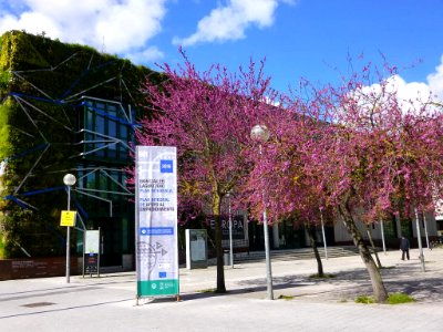 Vitoria - Palacio de Congresos y Exposiciones Europa 54