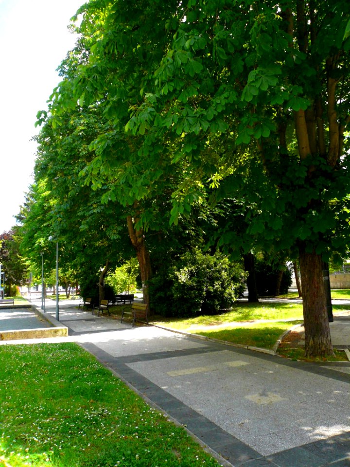 Vitoria - Jardines de Maurice Ravel 1JPG